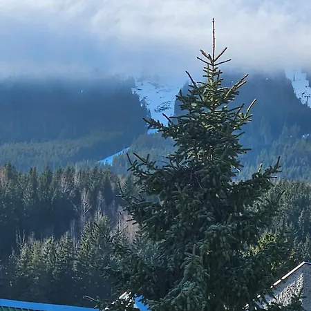 Wonderful Dream Z Widokiem Na Sniezke Apartamento *