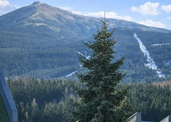 Wonderful Dream Z Widokiem Na Sniezke